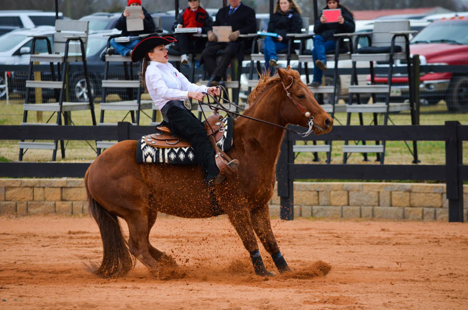 190209_MG_UGAEquestVsTAM_-0476.jpg